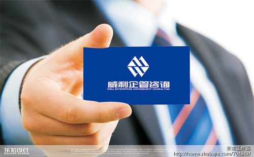 杭州威利企业管理咨询有限公司:公司logo设计 东龙工作室 投标-猪八戒