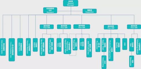 张应春谈管理:工厂常见的5种组织结构分析,涨知识!