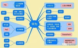 为什么需要咨询公司,为什么华为这么牛还这么清醒